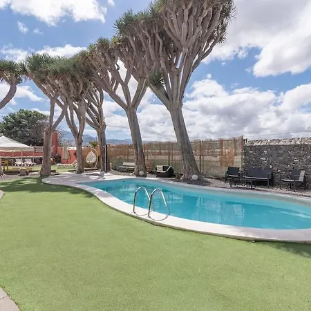 Drago Villa Telde